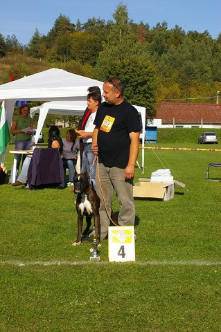 www.boxer-show.eu